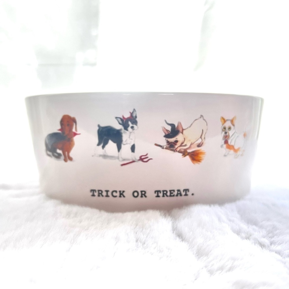 Dog Lover’s Halloween Collection - Water bowl, treat jar, and leash tray - Picture 3 of 16